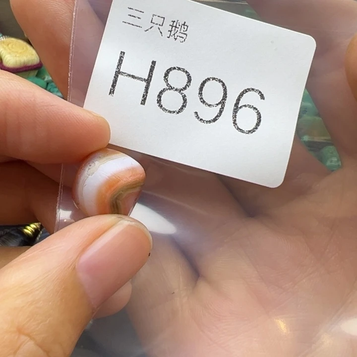 吊坠菩提根/象牙果