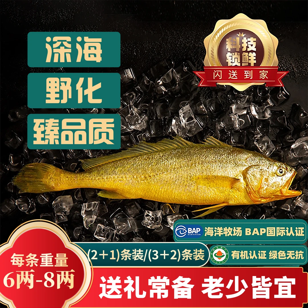 【渔山列岛大黄鱼】深海高品质无激素大黄鱼 冰鲜顺丰冷链