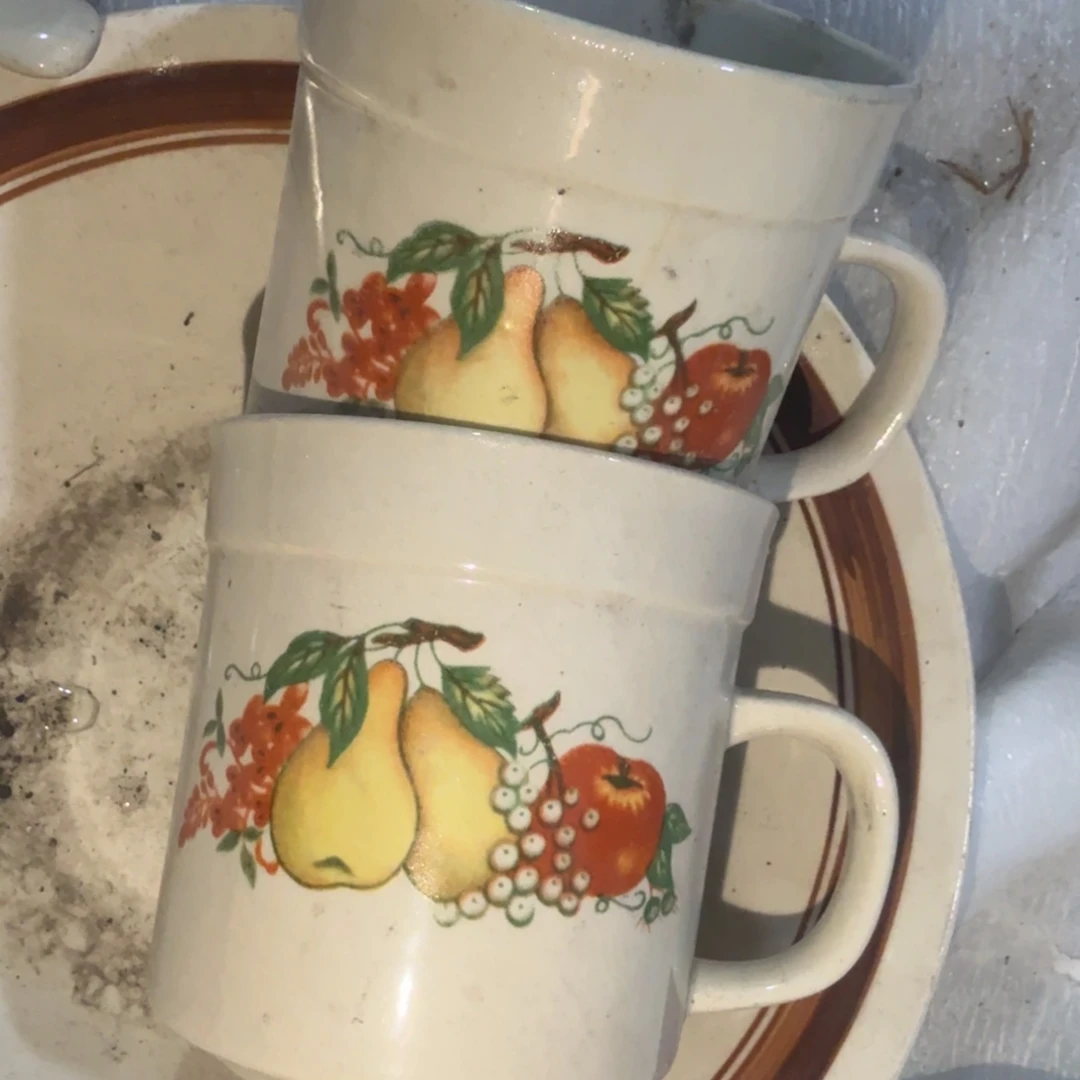 你要不给你家带上