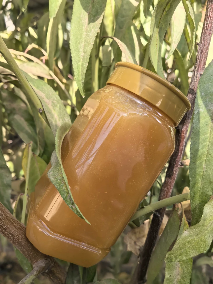 四妹宠粉【红柳大芸蜂蜜】1000克