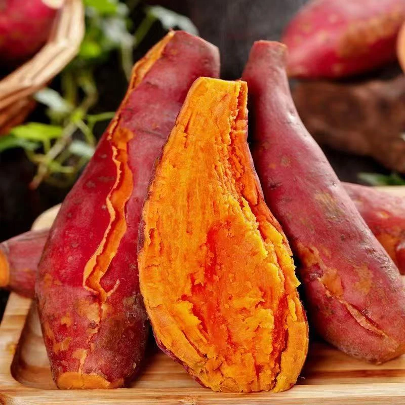 【新鲜现挖】沙地蜜薯红心蜜薯5-9斤皮薄粉糯香甜