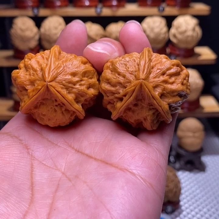 木质类云铁花千骨91号