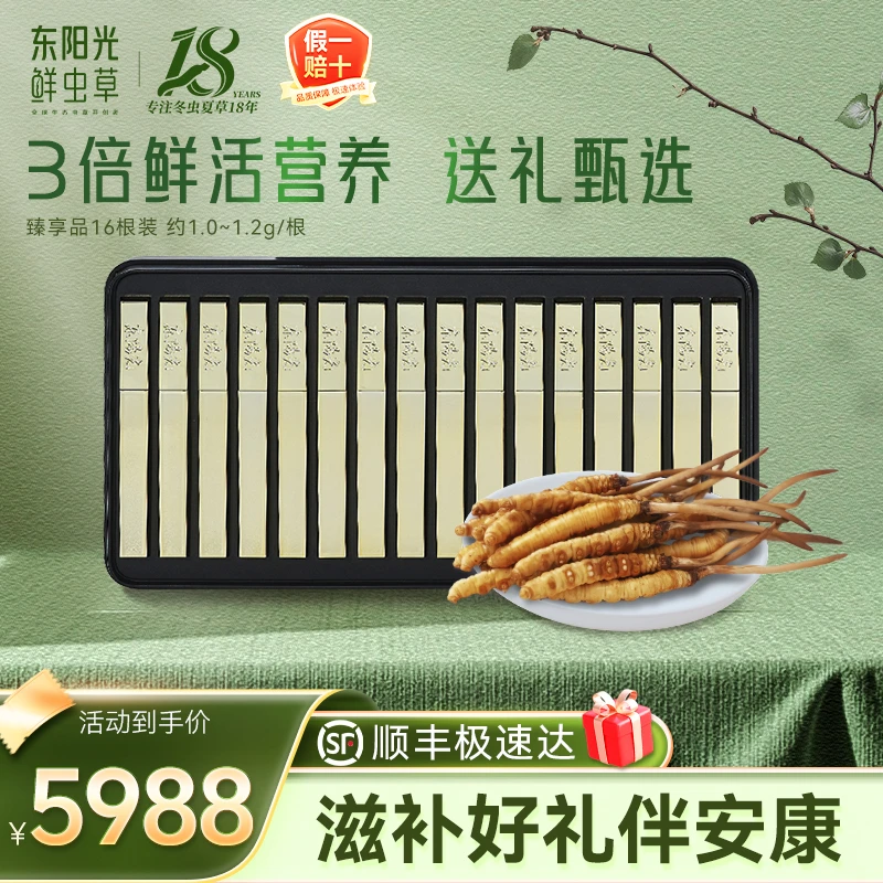 东阳光新鲜冬虫夏草1~1.2g/支16支装礼盒臻享品滋补品质官方正品