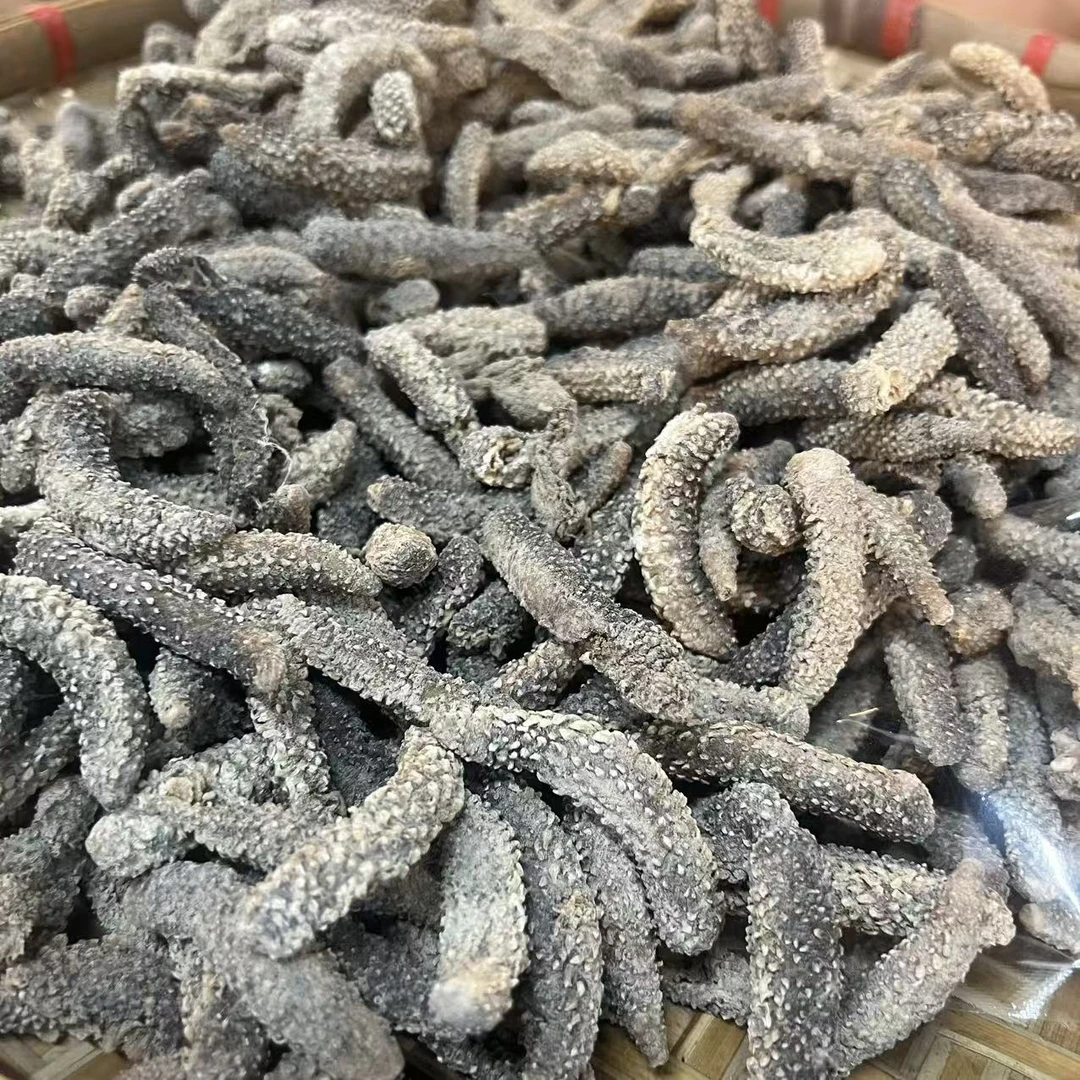 印尼刺参 淡干海参