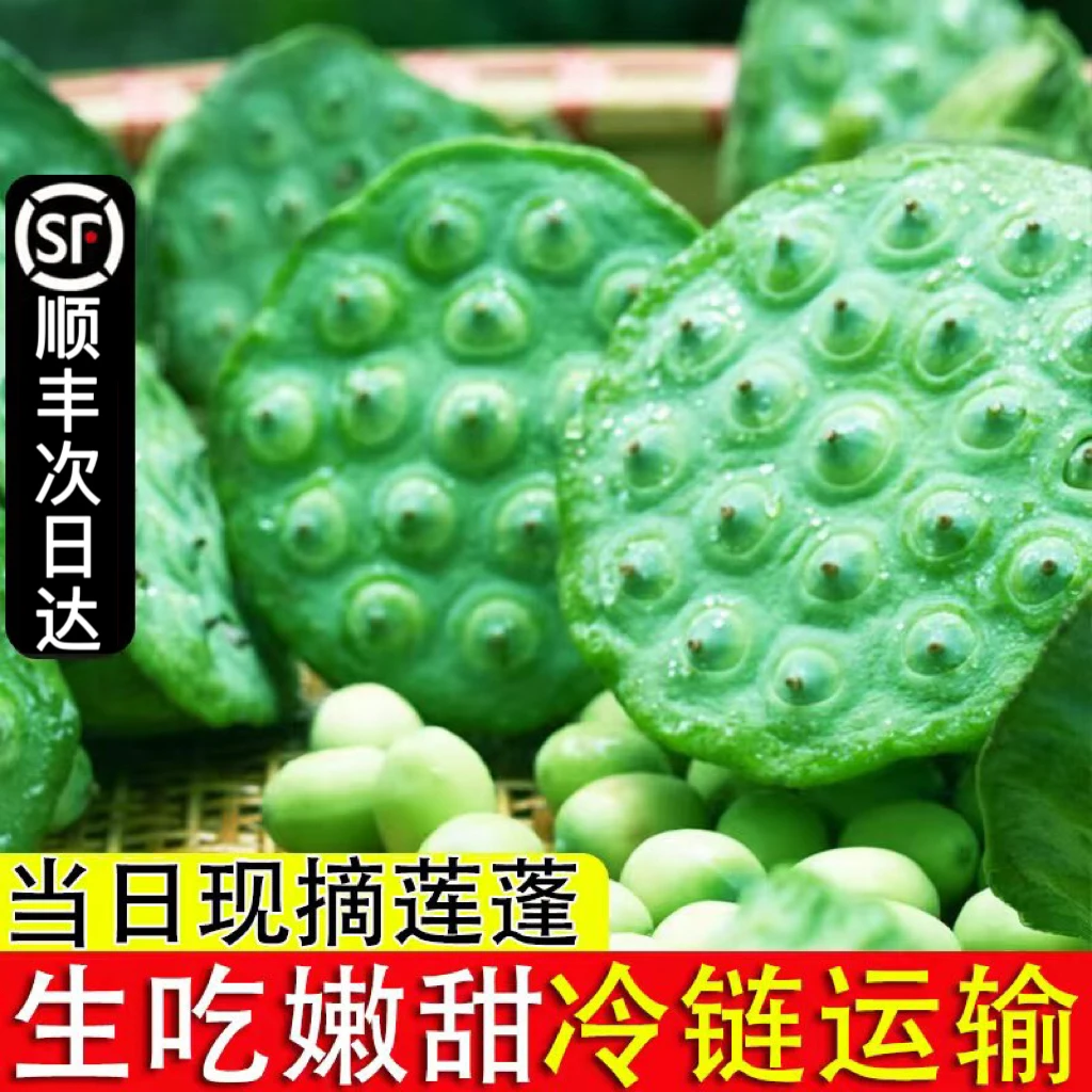 【顺丰冷链次日达】现货新鲜莲蓬现摘生吃新鲜孕妇水果当季蔬菜甜嫩湿莲子米即食蔬菜瓜果