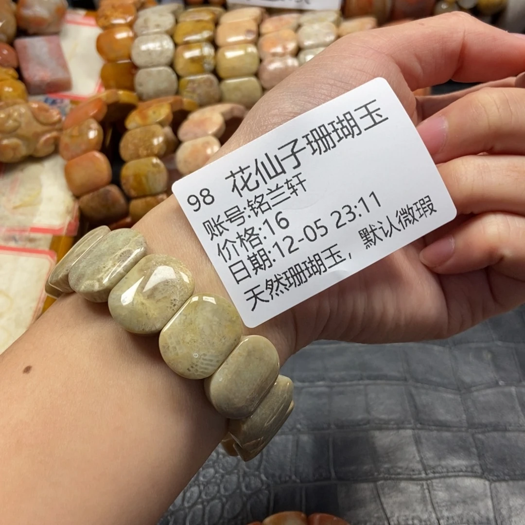 铭***轩硅化珊瑚（珊瑚玉）未镶嵌珠宝半成品98