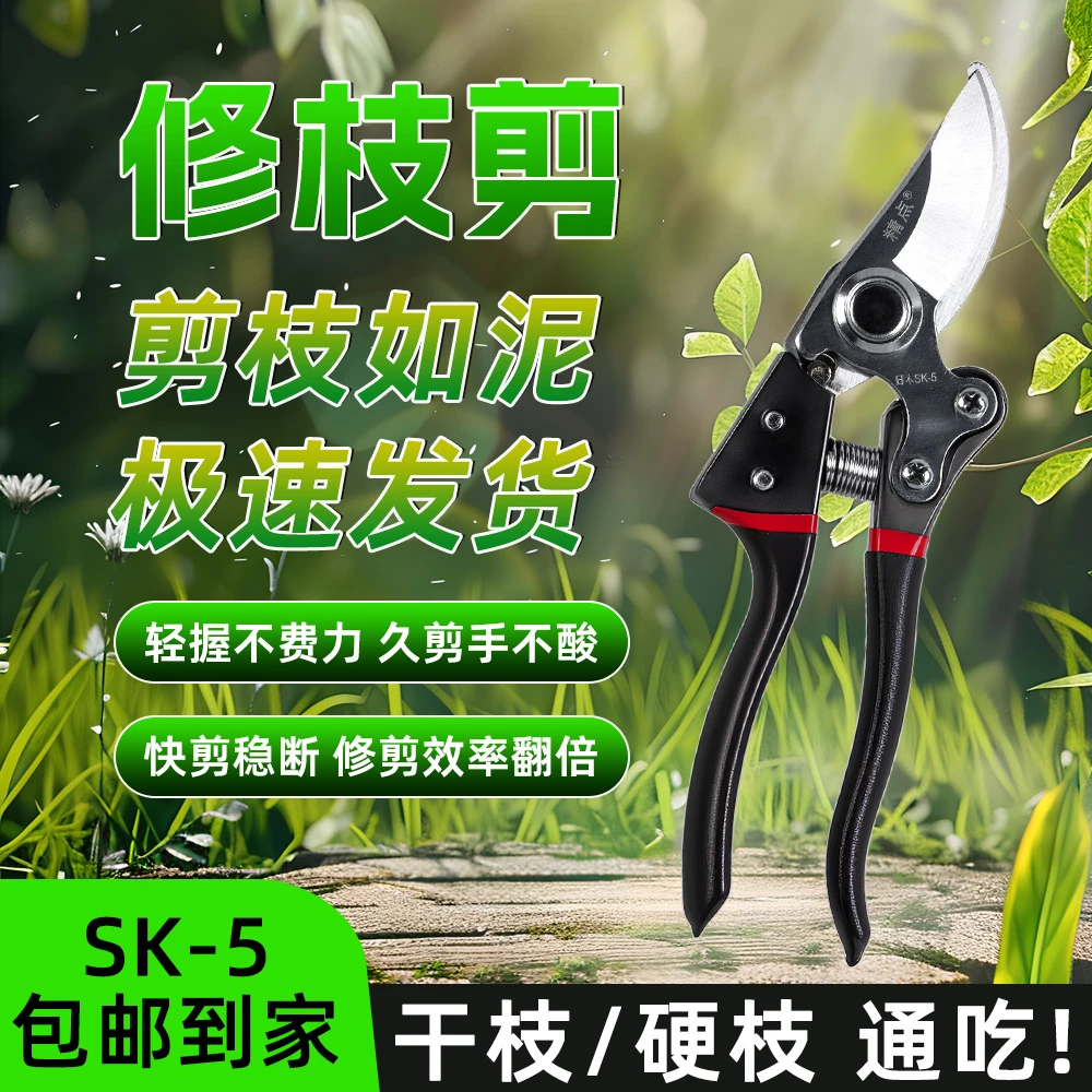 SK-5精钢果枝剪省力园艺修枝剪专用剪子修剪树枝花卉果树必备工具