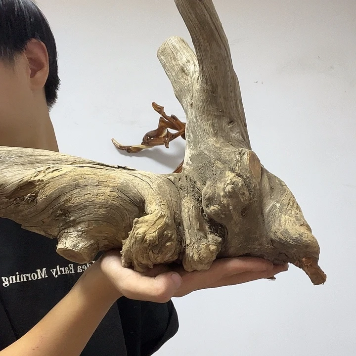 用***2柏木我也不想去的东西我