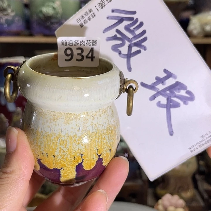 狼盆内口径5高度8