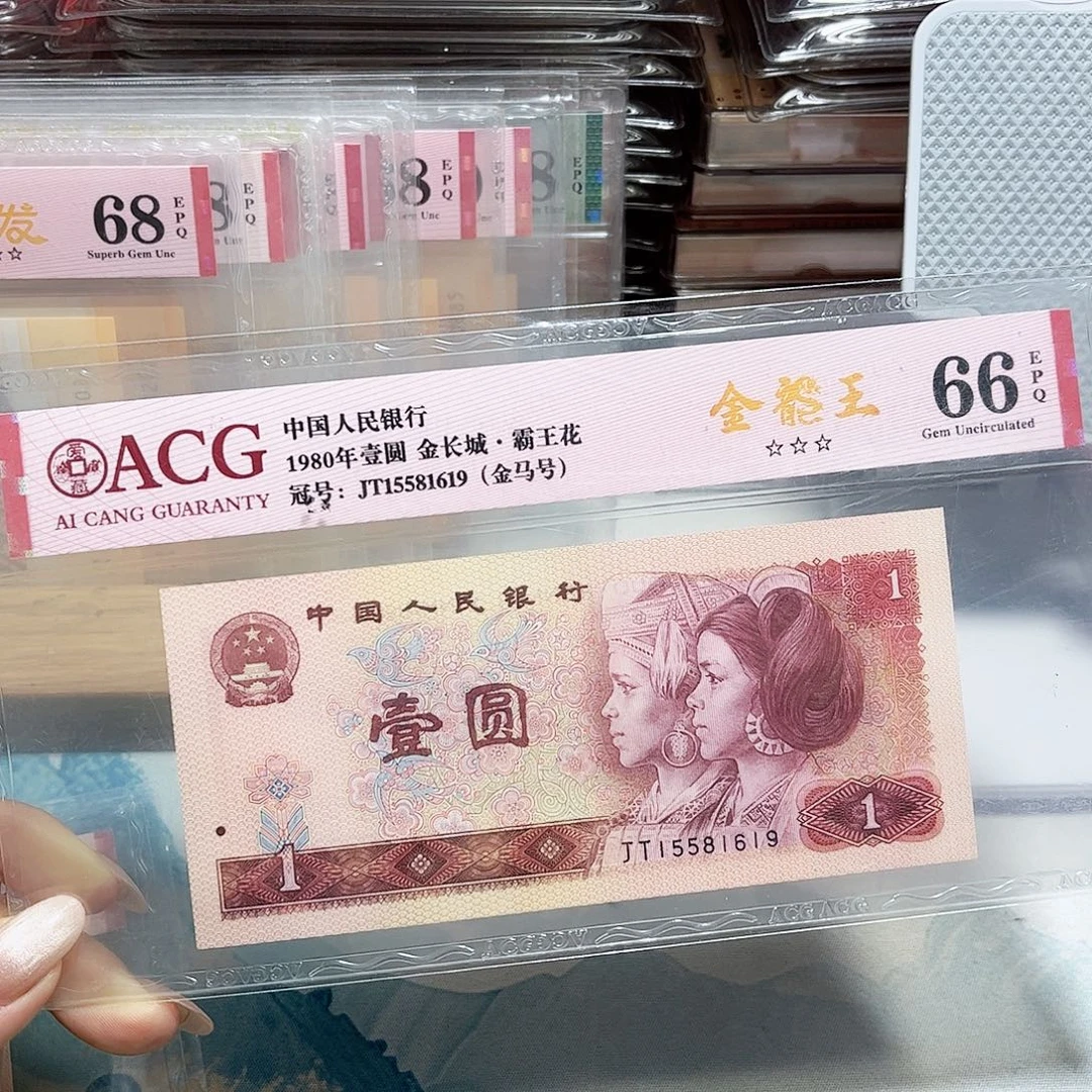 15581619。。。。金龙王