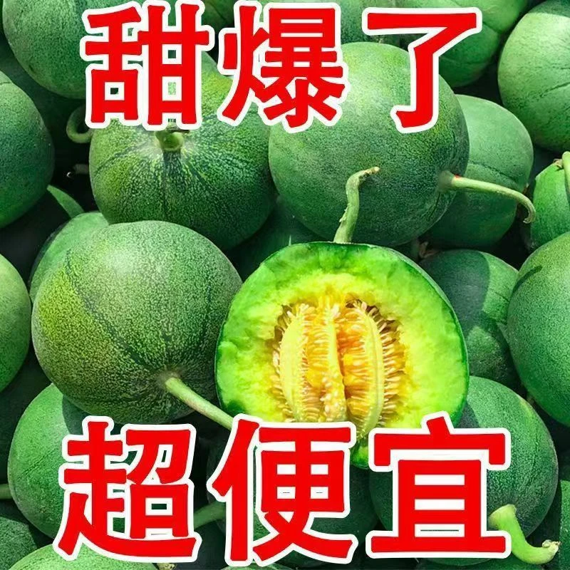 山东头茬绿宝甜瓜新鲜应季水果脆甜多汁清香可口