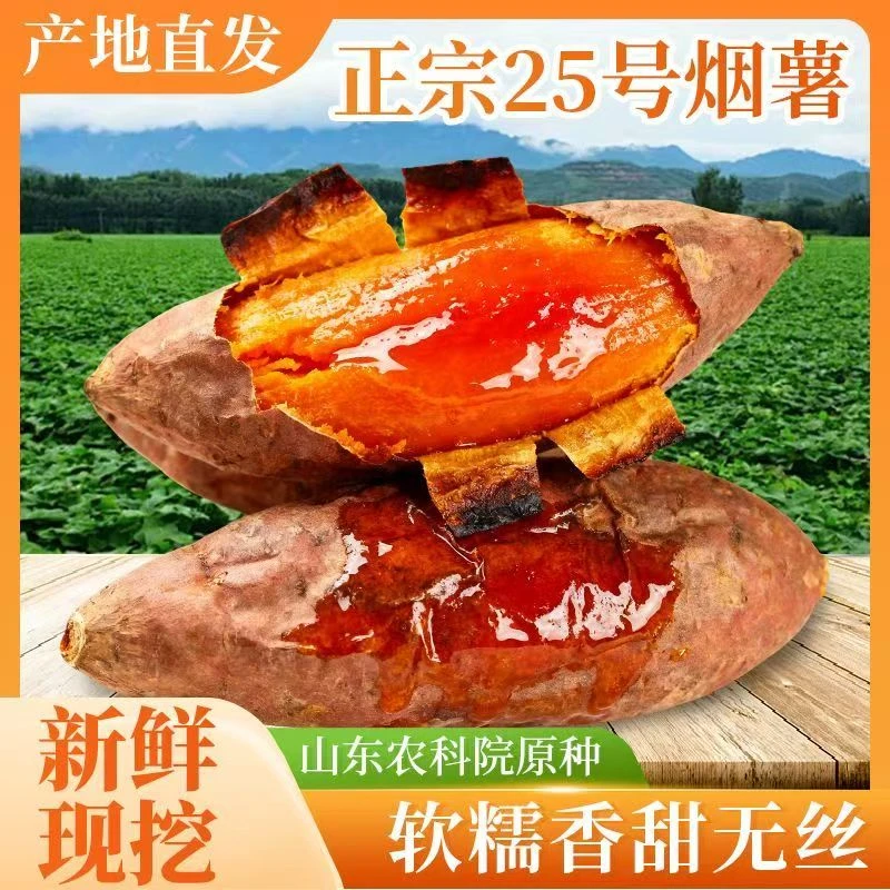 【流油蜜薯】山东沙地新鲜现挖糖心蜜薯烟薯25号软糯香甜流油2025