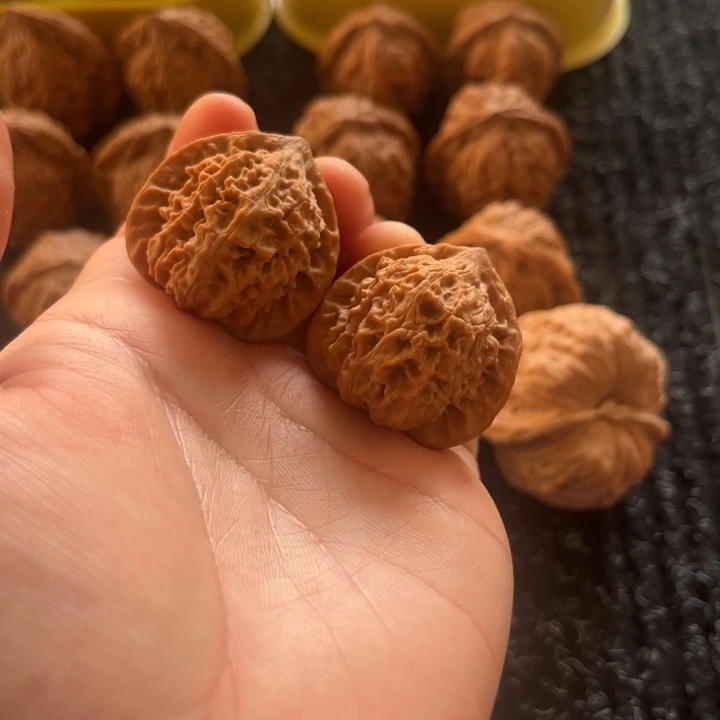 大叶紫檀（黑酸枝木类）野生小众