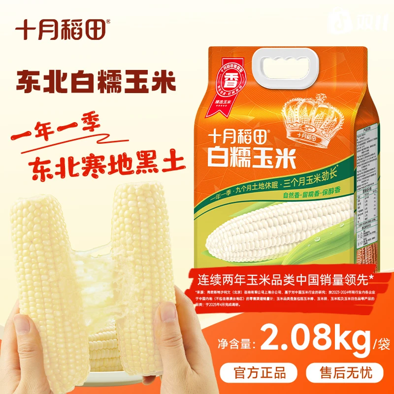 粗粮轻食 十月稻田白糯玉米棒夜宵香甜糯东北黏苞米主食早餐食材