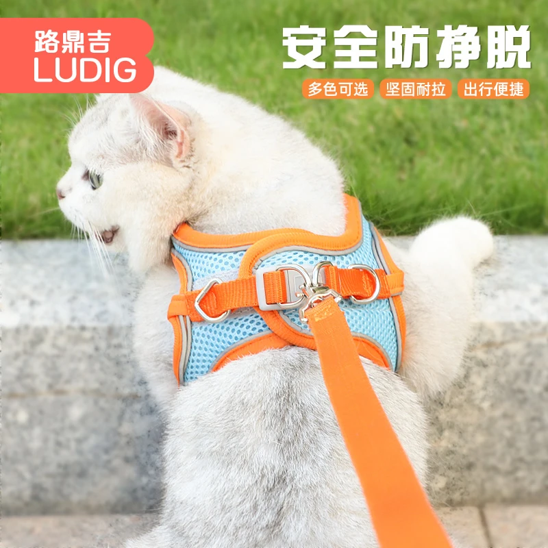 狗狗牵引绳大型小型犬狗链子狗项圈泰迪遛狗绳子宠物用品狗脖胸背