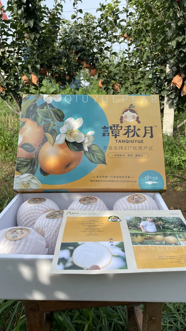 正宗莱阳谭格庄秋月梨脆甜多汁送礼佳品（顺丰包邮）