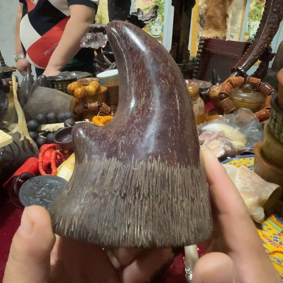 我的收藏已经开始了新