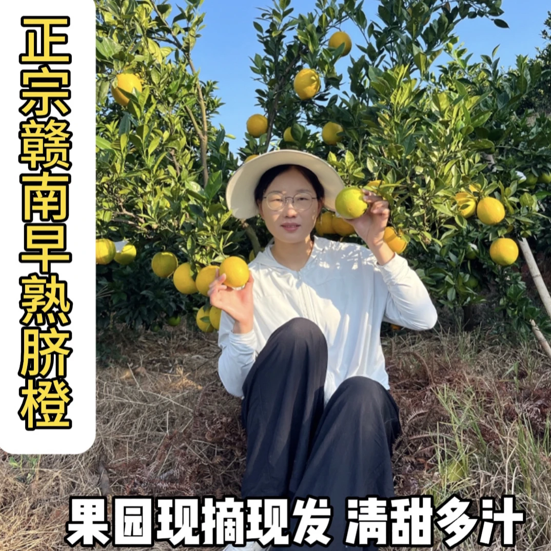 【产地直发】江西赣南早脐橙头茬鲜果清甜多汁5斤装/10斤装