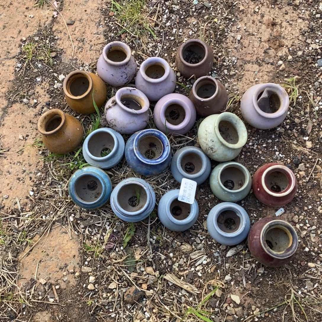 …****┴122号小可爱20个多肉盆