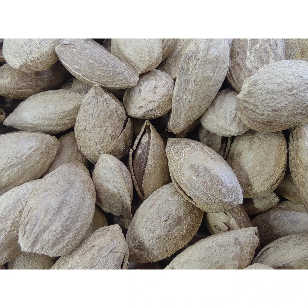 新疆原味纸皮巴旦木大颗粒果然饱满带壳