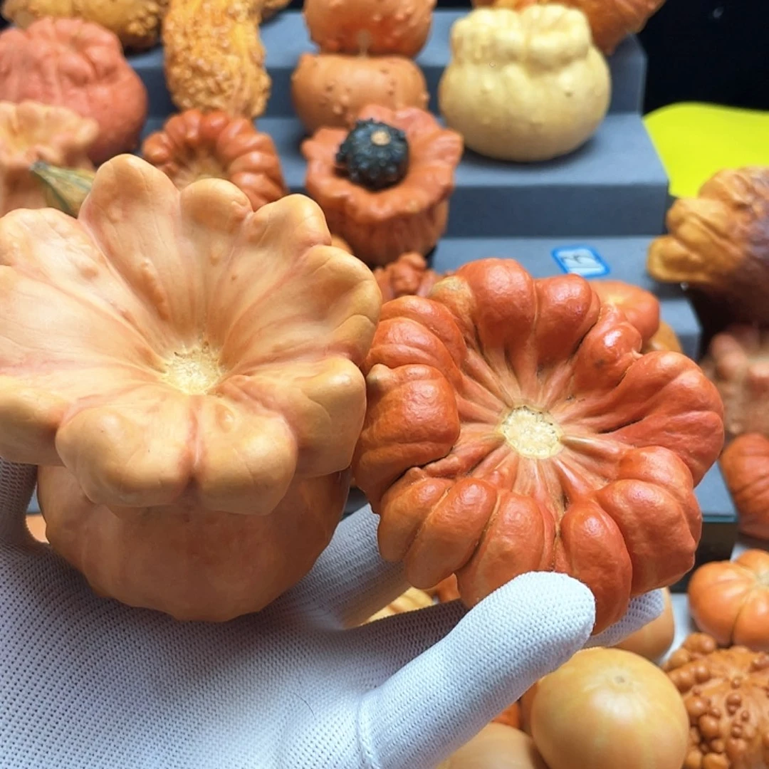 9***9墨西哥嘎大湖路微瑕