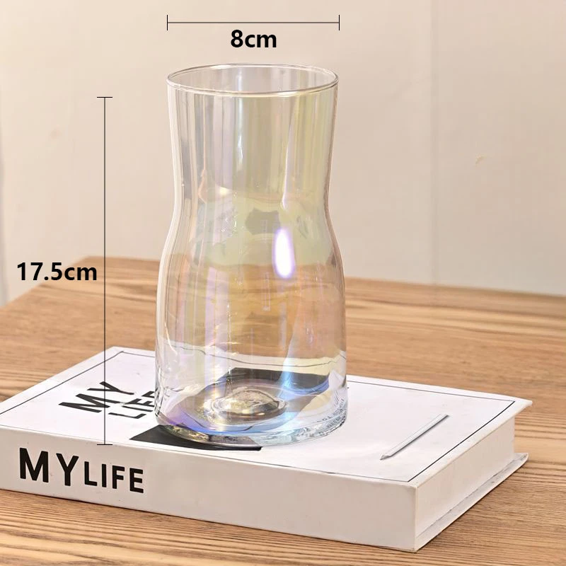 简约现代广口瓶透明玻璃花瓶客厅桌面插花水养装饰摆件