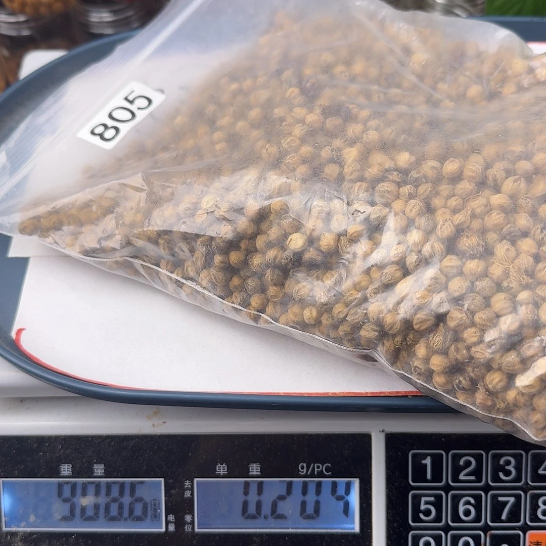 天***多柏香籽/百香籽吊坠900克CW21