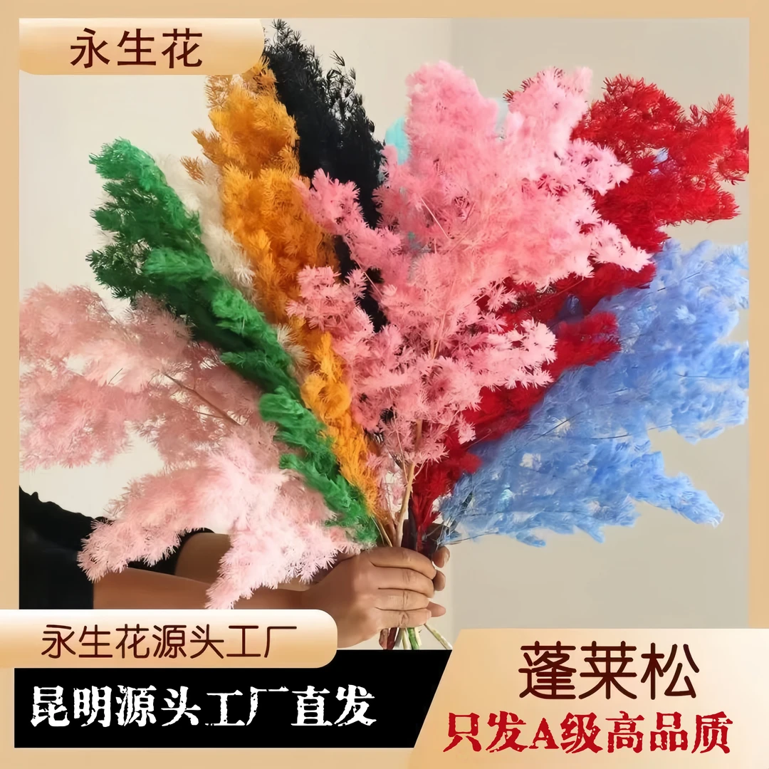 永生花蓬莱松♥A级包邮包售后云南永生花工厂直发花店专用不掉帧
