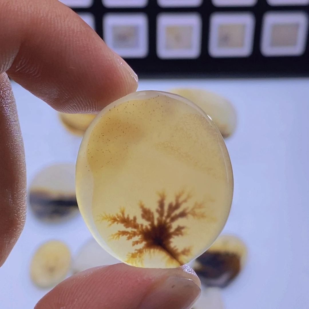 玛瑙/玉髓未镶嵌吊坠(不含链)910