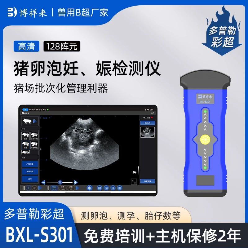 猪卵泡仪器 猪卵泡检测B超机 母猪场批次化管理BXL-S301