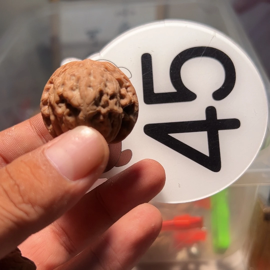 W***️文玩核桃，白色45号