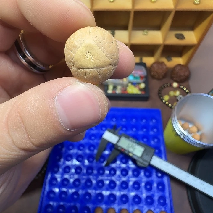 無忌文玩一物一拍