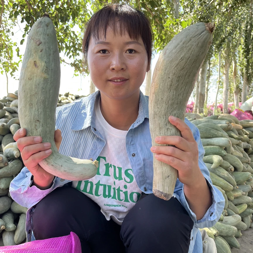 新疆贵族南瓜丑南瓜软欧香甜产地直发6斤9斤