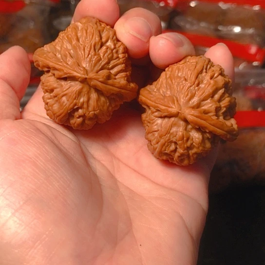 文玩核桃把件白狮子39