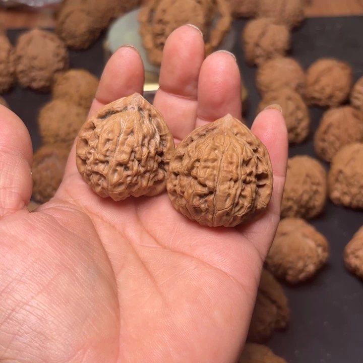 福***根大叶紫檀（黑酸枝木类）