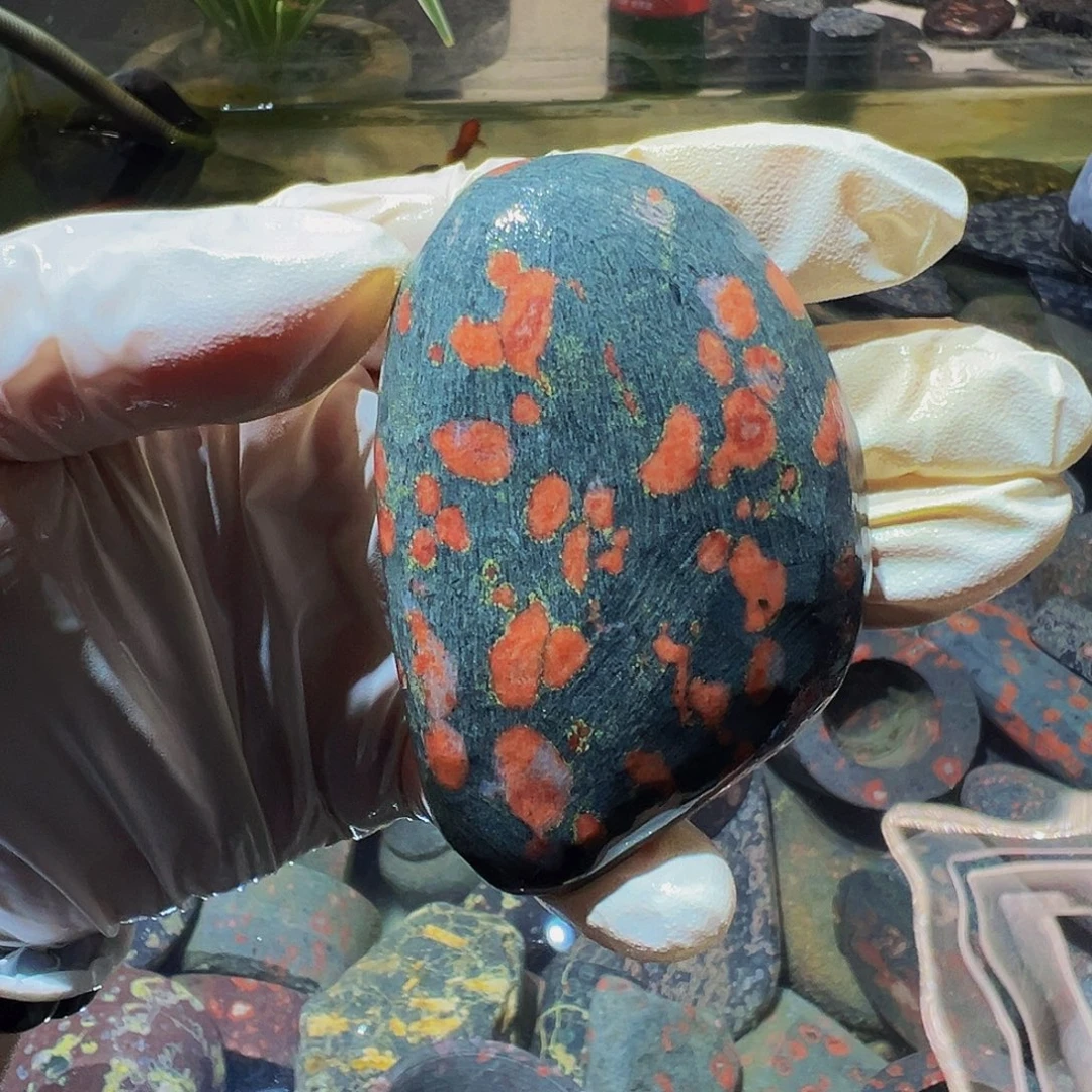 梅花玉鱼缸石茶周边不退不换