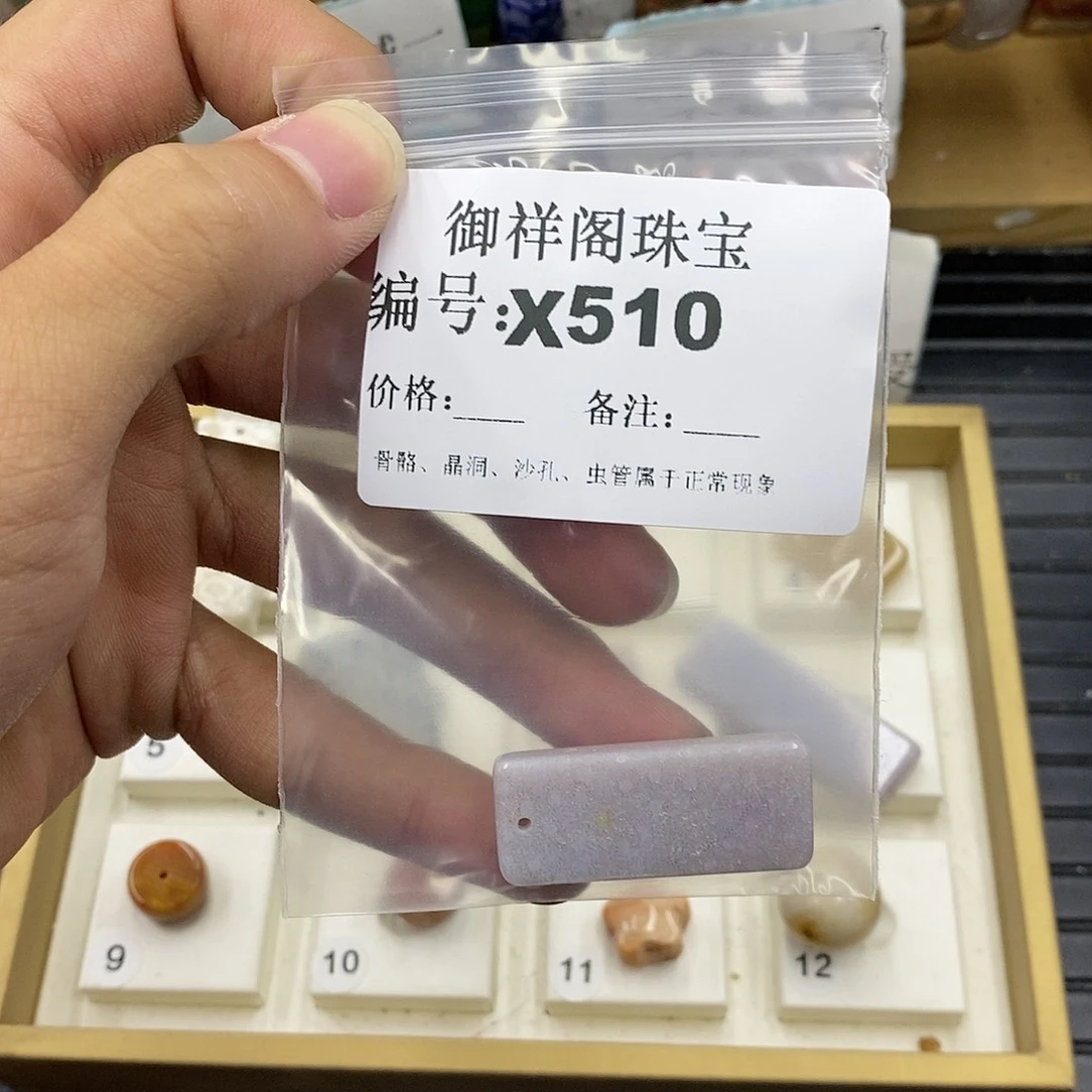 硅化珊瑚（珊瑚玉）未镶嵌颈饰小*条