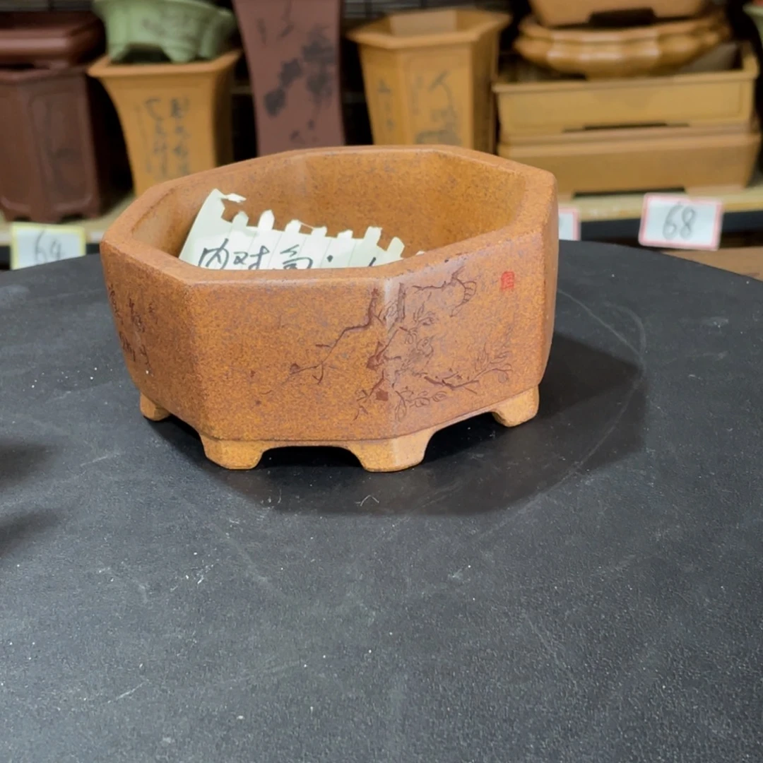 紫砂花盆我们要的