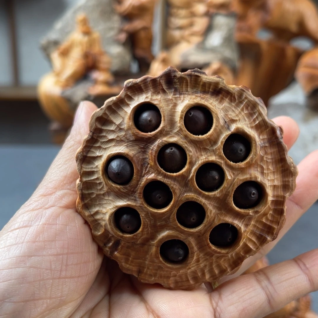 柏木（崖柏）崖柏太行山脉