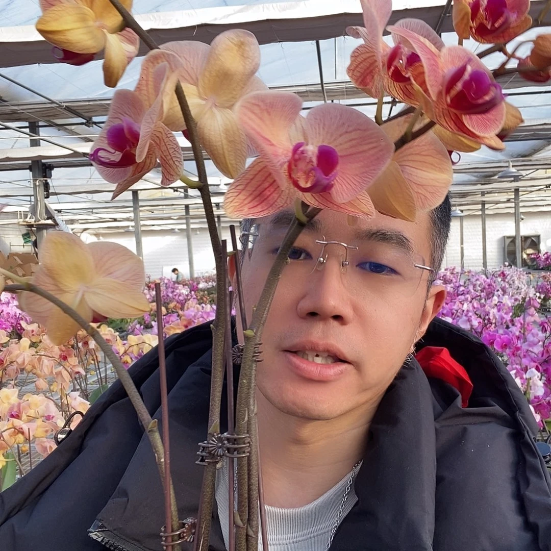 完全开放小安童带花花后苗3.0寸花剑不售后