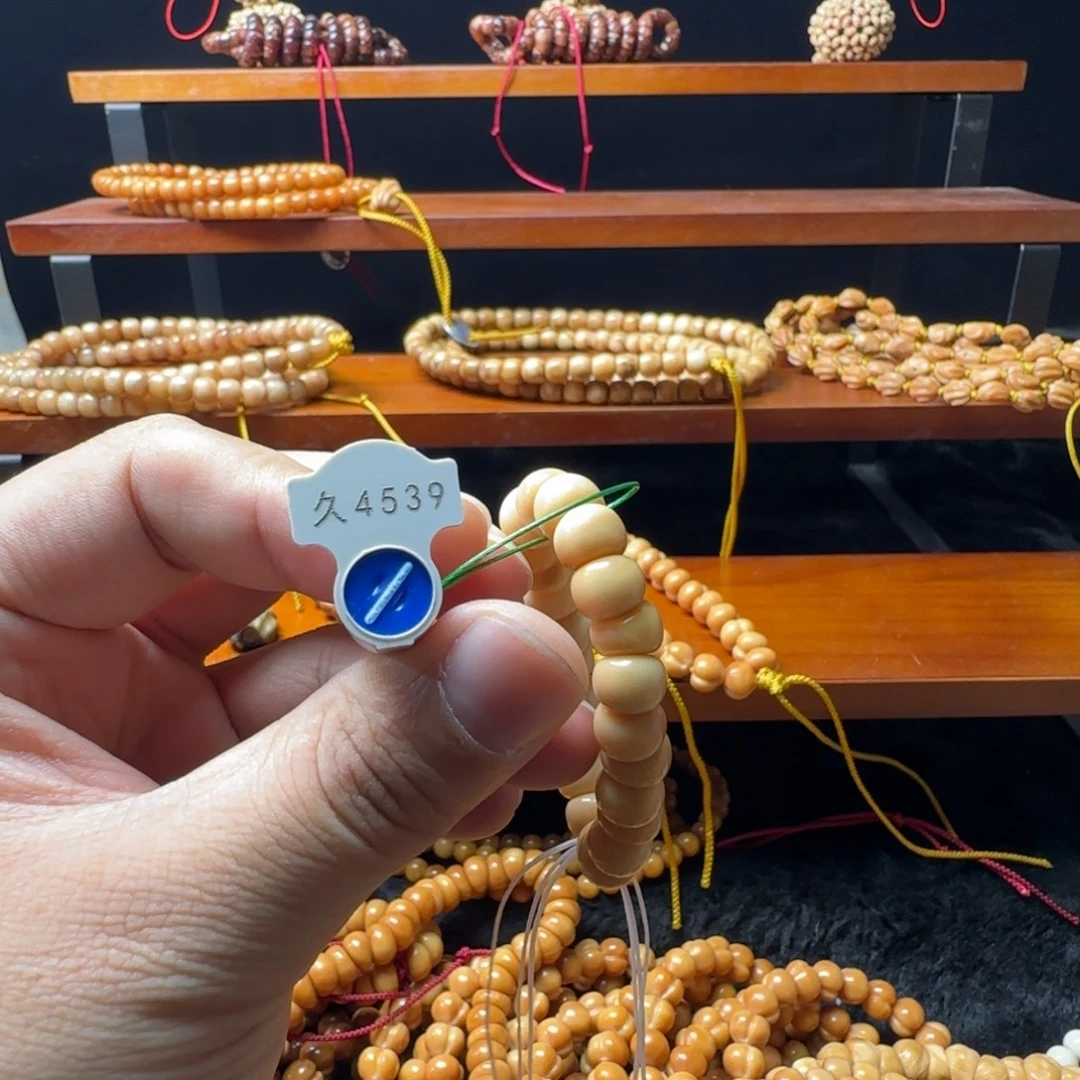 大***）吊坠龙脊菩提4539