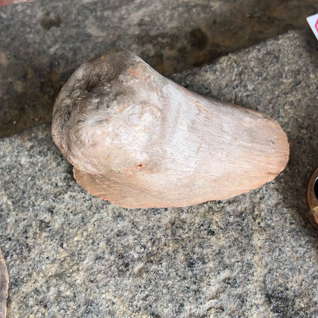 荔枝木不****内荔枝木毛料