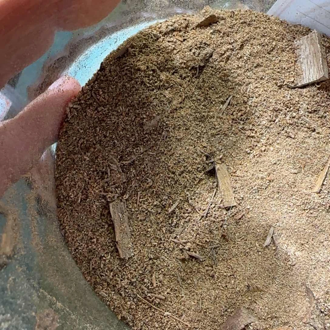 【闪购商品】沉香碎屑沉香100万批次正金三角黄奇粉5克不退