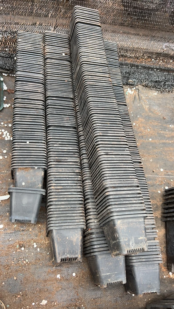 双十一塑料旧花盆 黑色小硬方盆10口径8高 （30个）