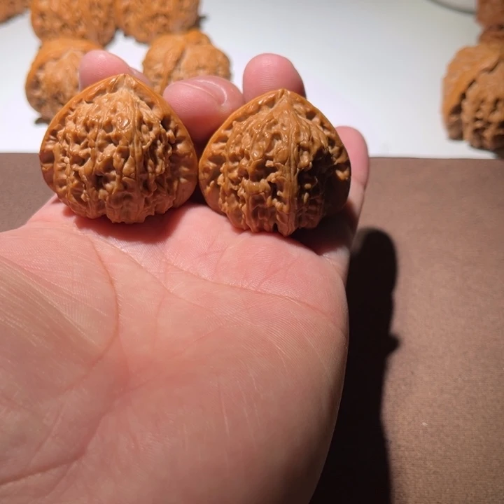 土****精品白狮子三角白