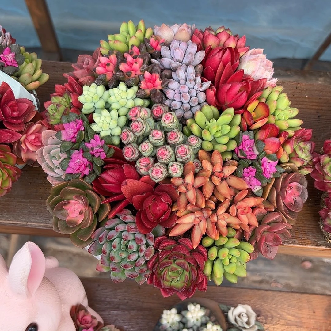 中号大白瓷花园组合画院