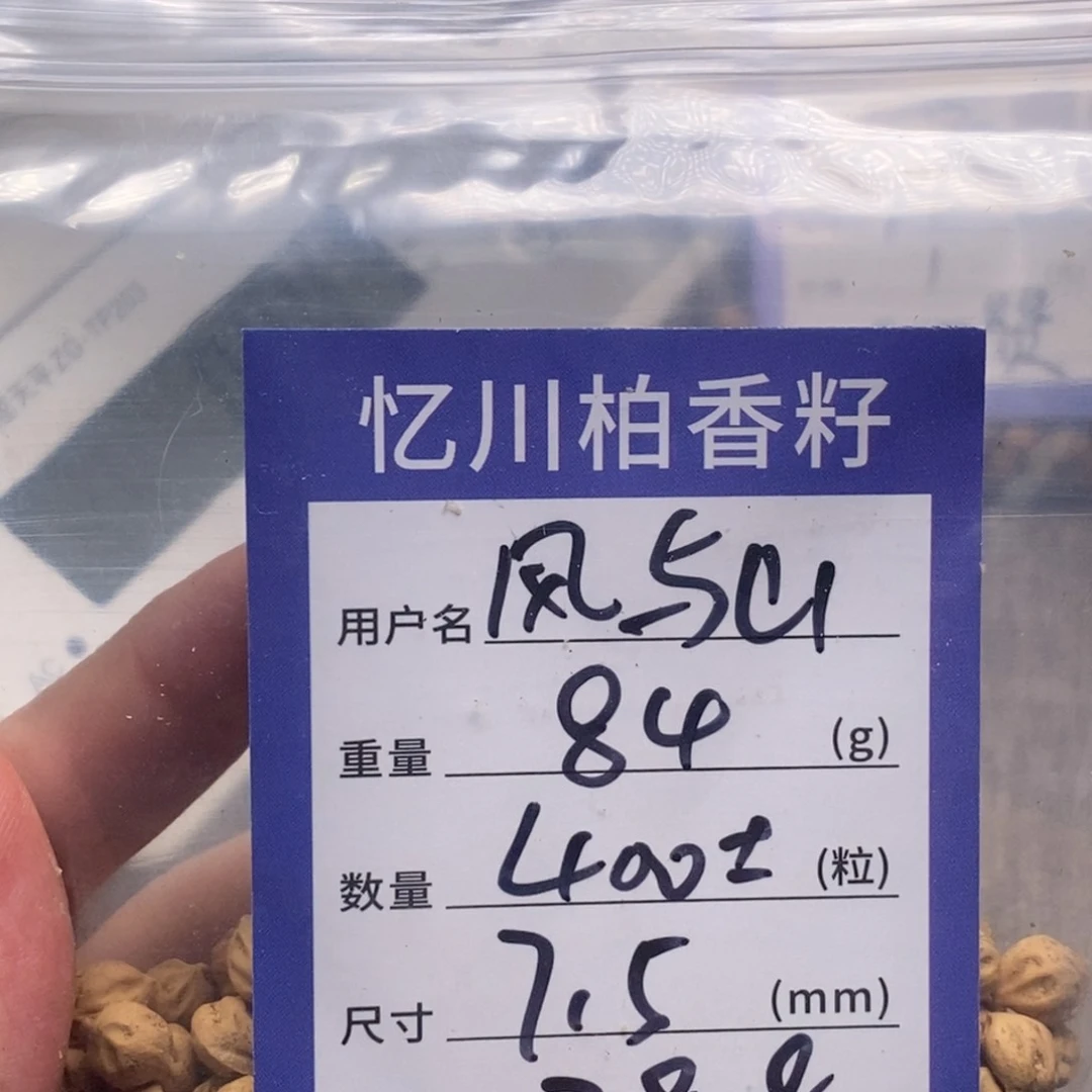 柏香籽/百香籽吊坠风*山