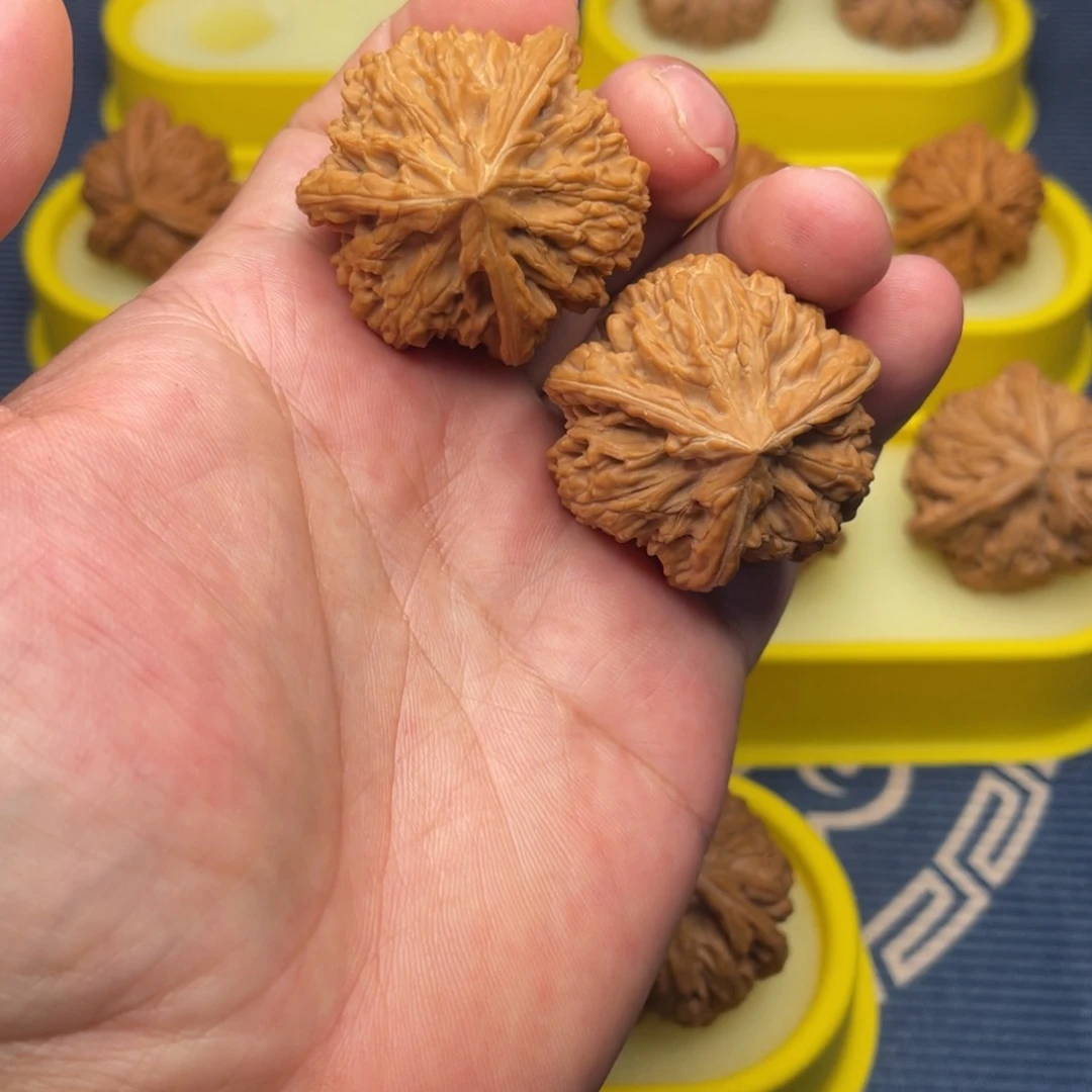 核桃手串/手链玉龙粗筋40尺全品