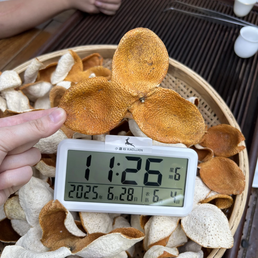 2024新会梅江圈枝大红新皮 ①小鹿收茶  新会新皮 6月28