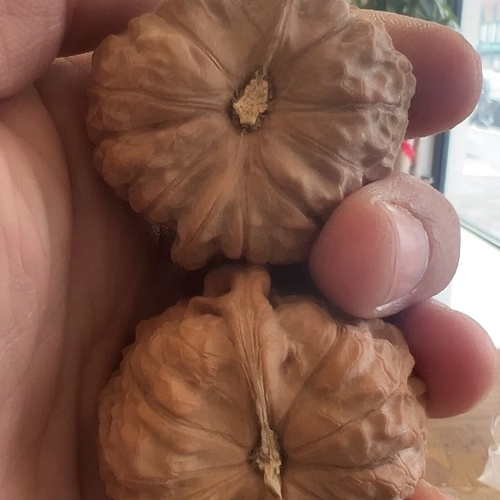 文玩核桃吊坠南瓜墩45